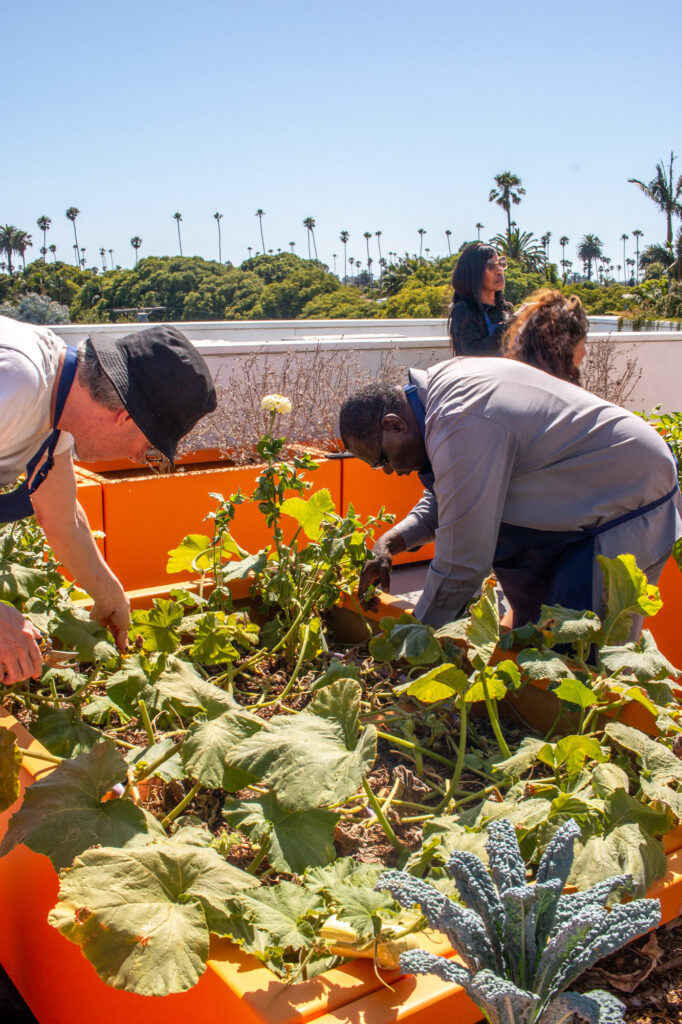 Group of residents tending the rooftop garden at the Journey Apartments